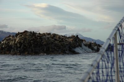 Ushuaia, 20 may 2009