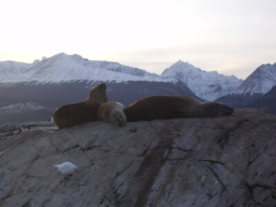 Ushuaia, 20 may 2009