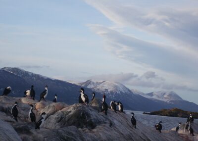 Ushuaia, 20 may 2009