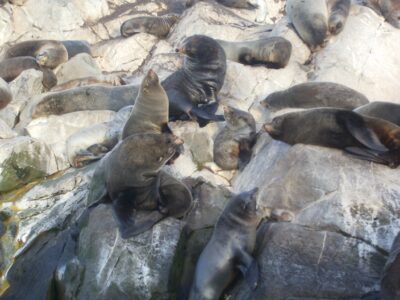 Ushuaia, 20 may 2009