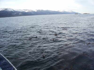 Ushuaia, 20 may 2009