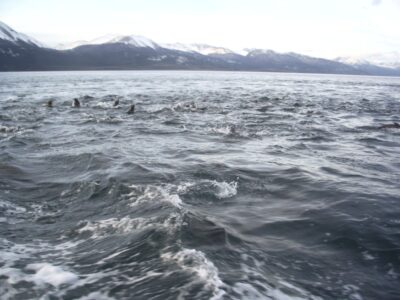 Ushuaia, 20 may 2009