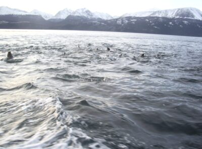 Ushuaia, 20 may 2009