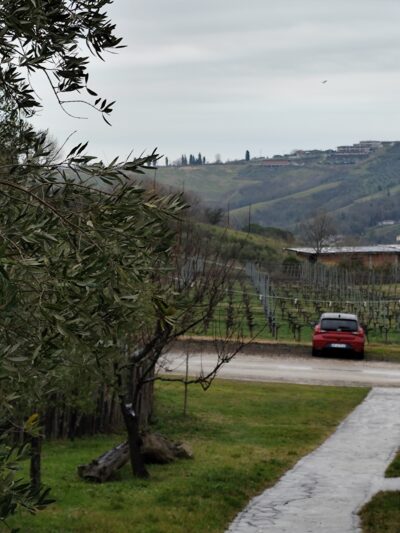 San Marino, 19 ene 2025
