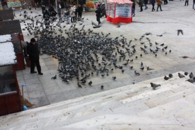Estambul, 8 ene 2015