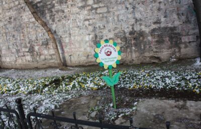 Estambul, 8 ene 2015