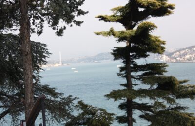 Estambul, 8 ene 2015