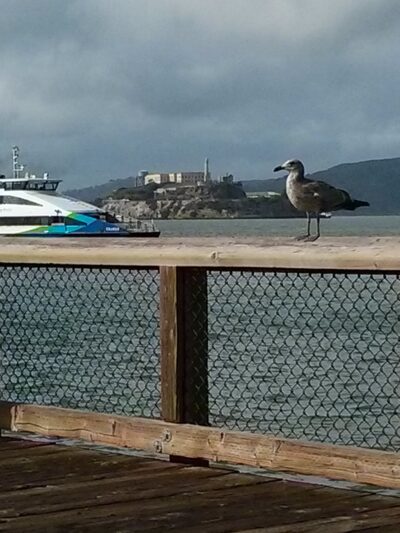 San Francisco, 26 mar 2014