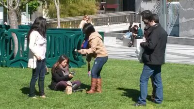 San Francisco, 2 abr 2014