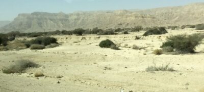 Jerusalén → Jordania (Aqaba, Wadi Rum), 4 feb 2015
