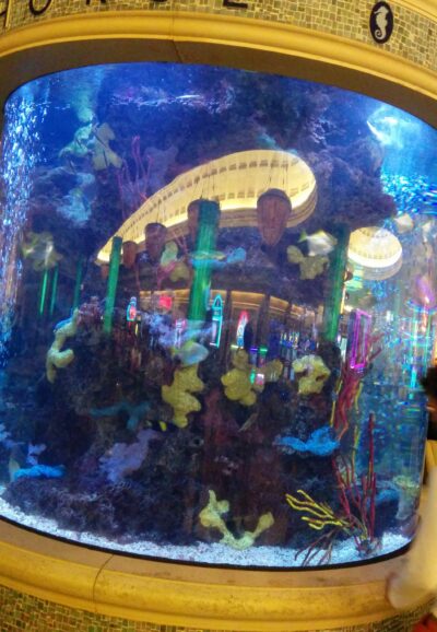 Las Vegas, 29 mar 2014