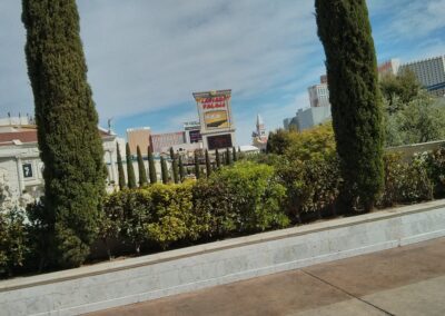Las Vegas, 29 mar 2014
