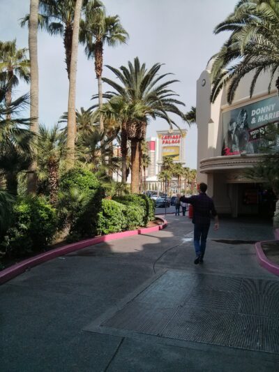 Las Vegas, 29 mar 2014