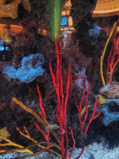 Las Vegas, 29 mar 2014