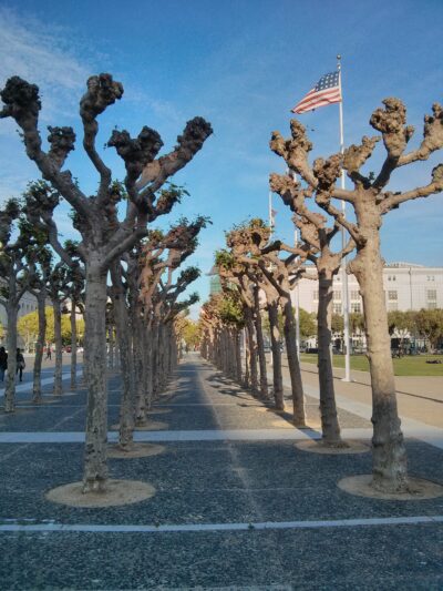 San Francisco, 3 abr 2014