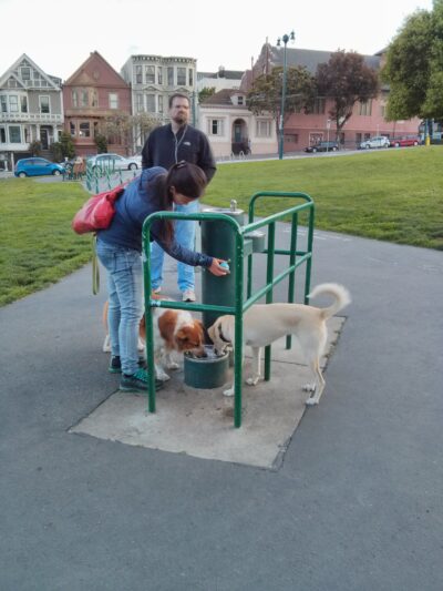 San Francisco, 3 abr 2014