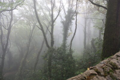 Sintra y vuelta a Madrid, 15 ago 2011