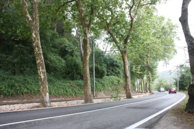 Sintra y vuelta a Madrid, 15 ago 2011