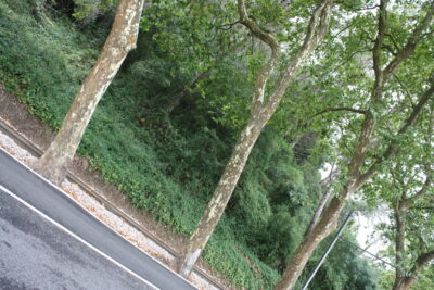Sintra y vuelta a Madrid, 15 ago 2011