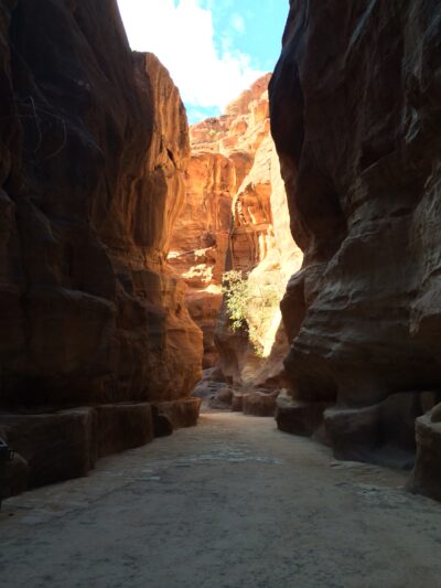 Jordania (Wadi Rum, Petra...), 2015-02-05