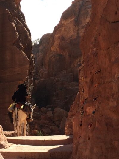 Jordania (Wadi Rum, Petra...), 2015-02-05