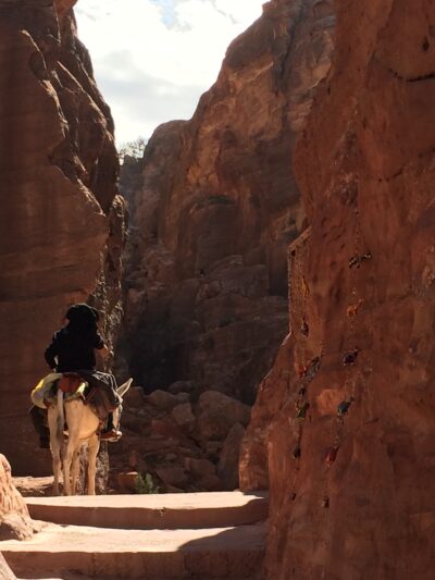 Jordania (Wadi Rum, Petra...), 2015-02-05