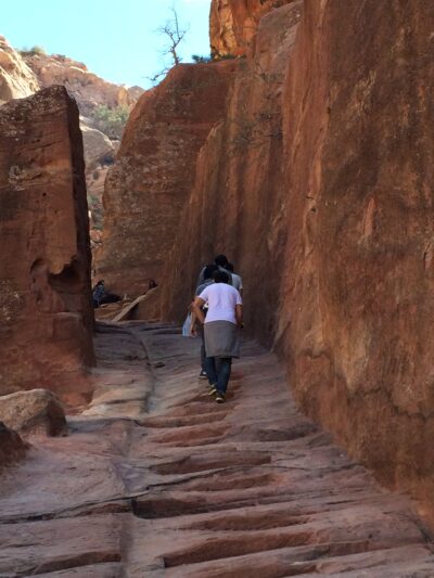 Jordania (Wadi Rum, Petra...), 2015-02-05