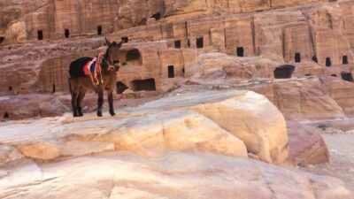 Jordania (Wadi Rum, Petra...), 2015-02-05