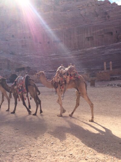 Jordania (Wadi Rum, Petra...), 2015-02-05
