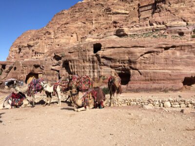 Jordania (Wadi Rum, Petra...), 2015-02-05