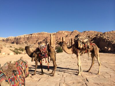 Jordania (Wadi Rum, Petra...), 2015-02-05