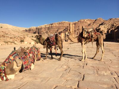 Jordania (Wadi Rum, Petra...), 2015-02-05