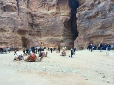 Jordania (Wadi Rum, Petra...), 2015-02-05
