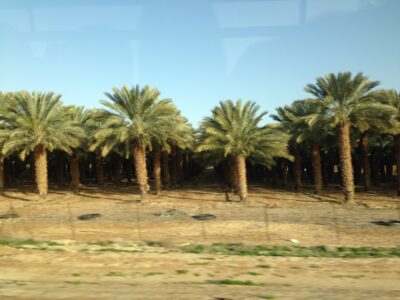 Jerusalén → Jordania (Aqaba, Wadi Rum), 4 feb 2015