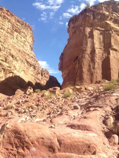 Jordania (Wadi Rum, Petra...), 2015-02-05