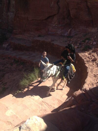 Jordania (Wadi Rum, Petra...), 2015-02-05