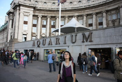 London Aquarium / County Hall