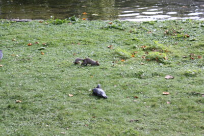 Foto Londres oct 2009
