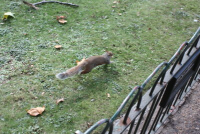 Foto Londres oct 2009
