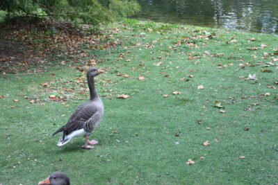 Foto Londres oct 2009