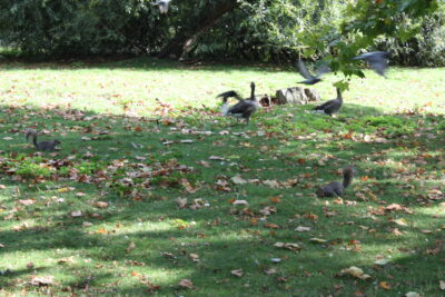 Foto Londres oct 2009