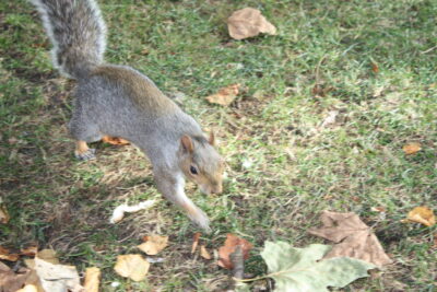 Foto Londres oct 2009