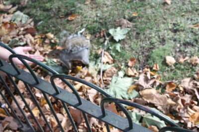 Foto Londres oct 2009