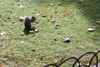 Foto Londres oct 2009