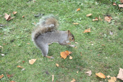 Foto Londres oct 2009