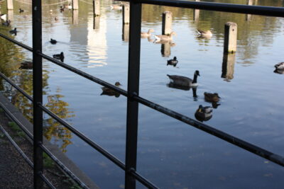 Foto Londres oct 2009