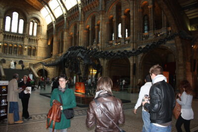 Natural History Museum — Hintze Hall con Dippy el Diplodocus