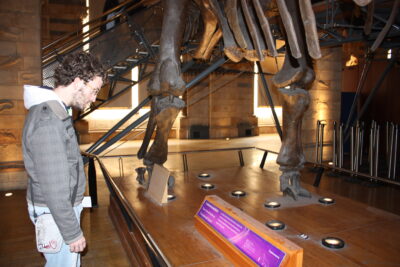 Natural History Museum — galería de dinosaurios
