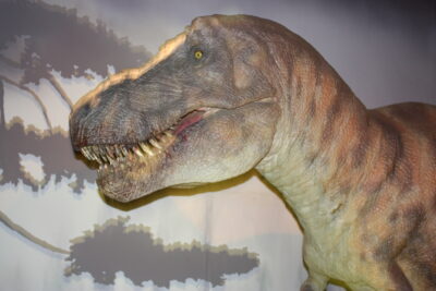Natural History Museum — T-Rex animatrónico