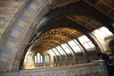 Natural History Museum — galería superior